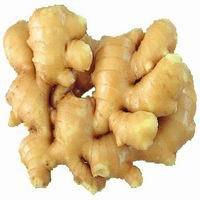  fresh   shandong   ginger 