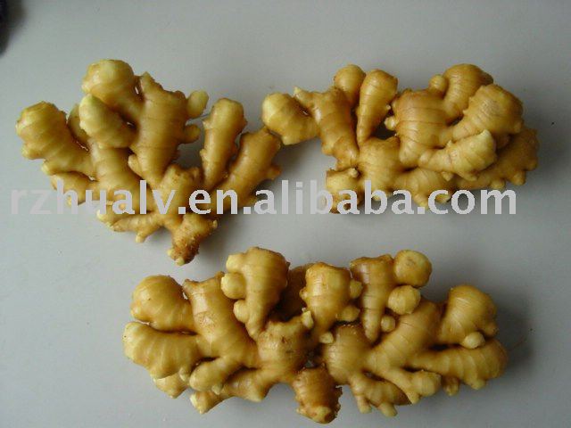 Shandong Ginger Root