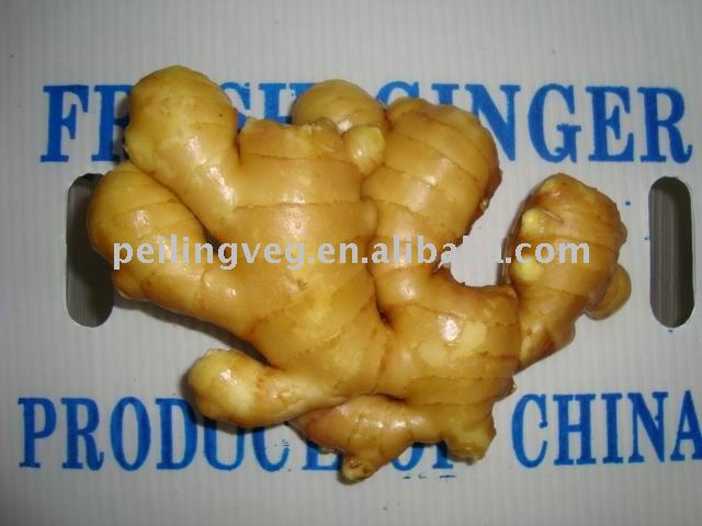 fresh young ginger