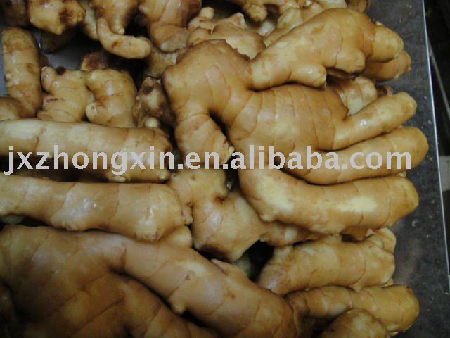 health spice fresh ginger size 150g up for pakistan market favorite