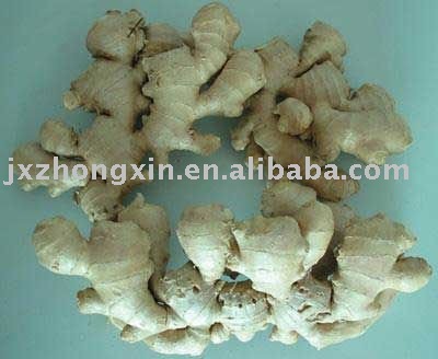 market price  air dried fresh ginger size 250g up