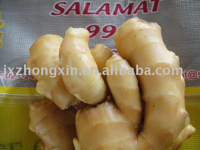2010 new fresh ginger healthy vegetables