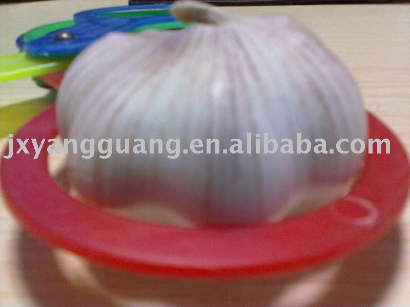 2011 Jinxiang normal  white garlic in mesh bag