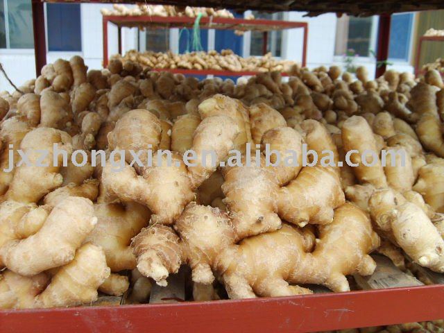 market price  air dried fresh ginger 150g up