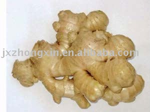 market price air dried  fresh ginger size 150g up