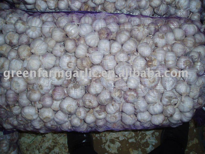 2011 Fresh Jinxiang Normal Garlic 5.0cm,5.5cm,6.0cm in 10KG Mesh Bags