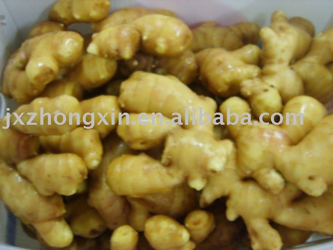  2010   fresh   ginger  with customer s brand carton package