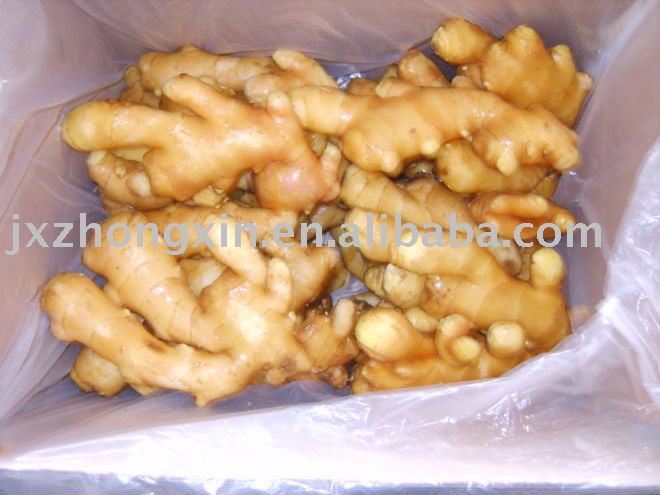 2010 yellow fresh ginger