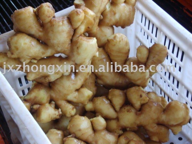 healthcare supplement fresh  ginger  size  250g  up