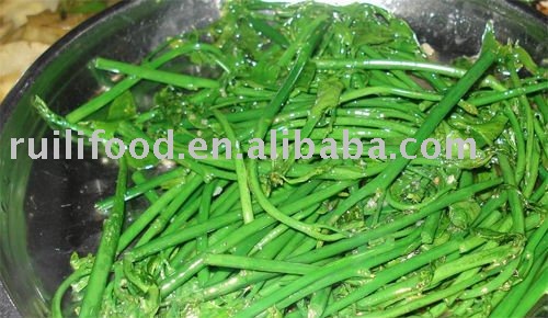 sell collar greens ```` green herbs , chinese herbs