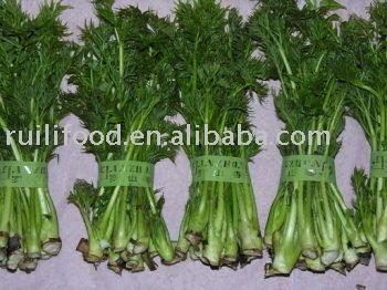 sell ```` vegetables , fresh vegetables , herbs