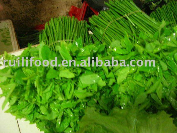 sell  frozen vegetables , iqf vegetables