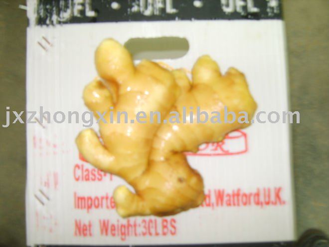 organic fresh vegetable spices ginger size 150g up