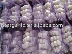 Regular  white Garlic