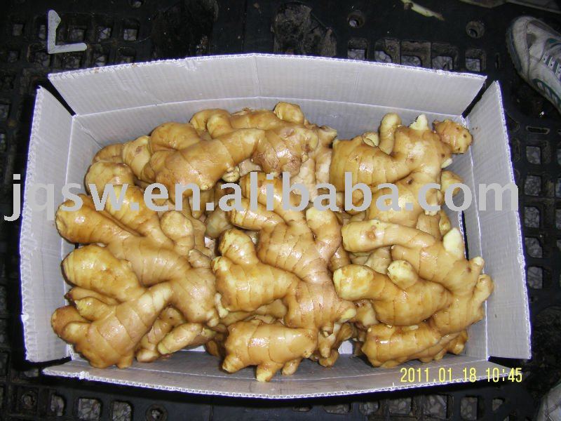 buy fresh ginger from us(150g up,2010new crops,)