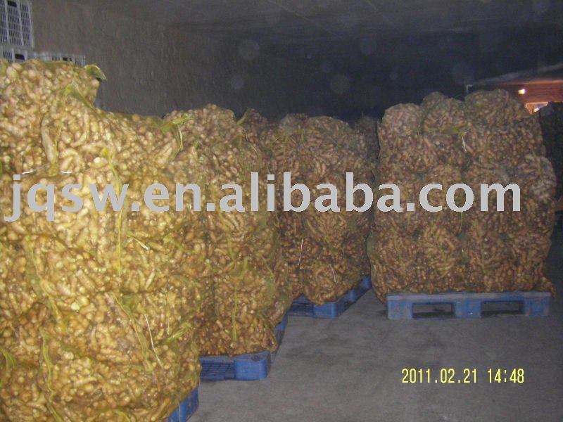 buy fresh ginger from us(50g up,2010new crops,)