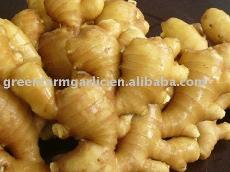 Yellow Ginger Packed in Mesh Bags