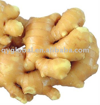  fresh   white   ginger 