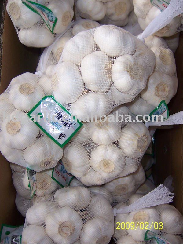  regular   white   garlic  2011