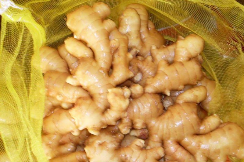2011 block  fresh  fat  ginger