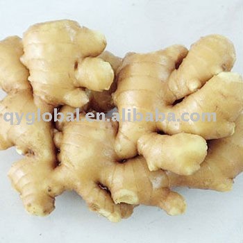 2011 white Ginger