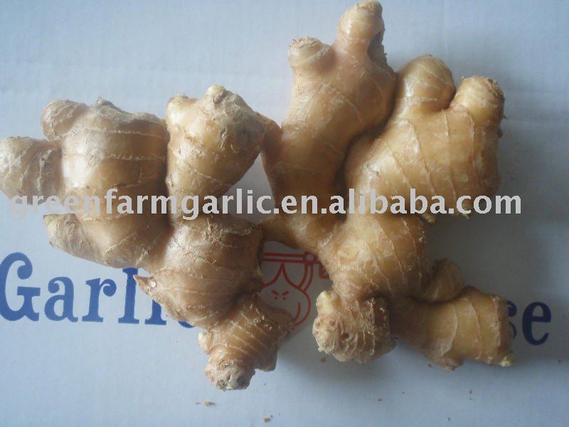 2010  New   Yellow   Ginger 