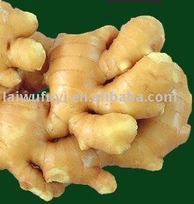  fresh   china   ginger 