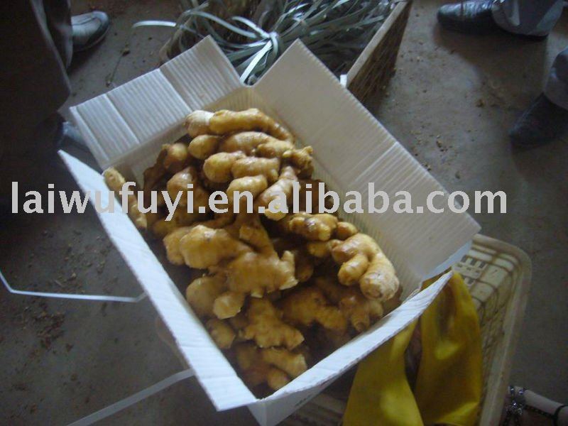 fresh ginger and garlic