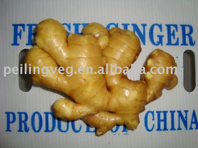 fresh  farm ginger(2011)