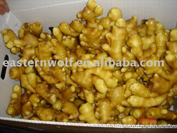 China fresh ginger in mesh bag MOQ:1*40FCL