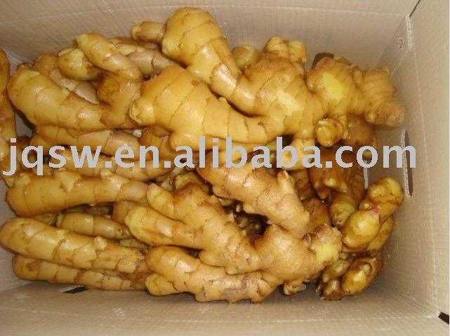 china fresh ginger (250g up,2010new crops,)