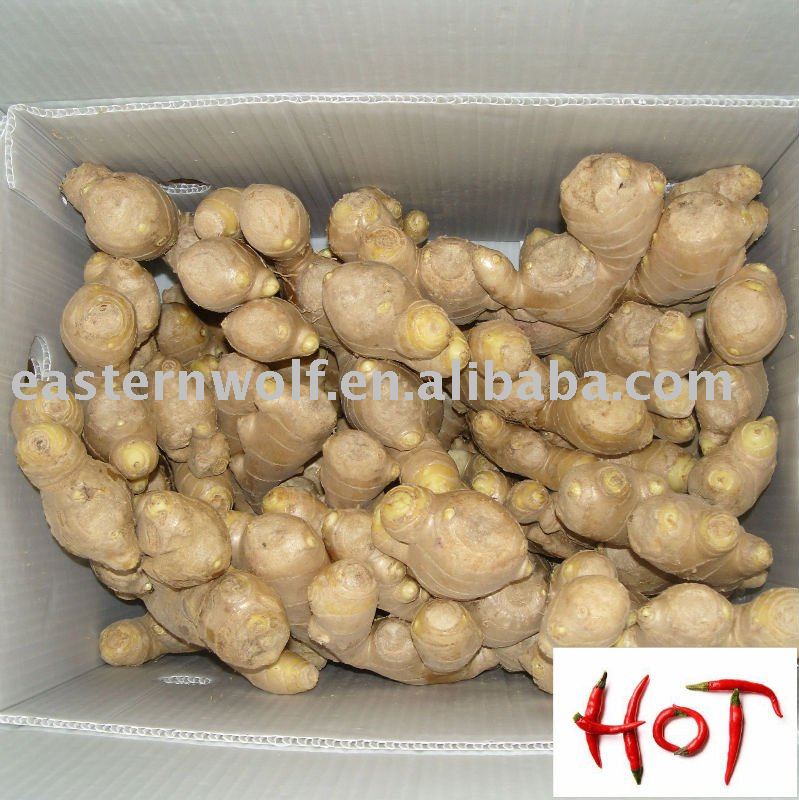  Fresh   Yellow   Ginger  in Plastic Box Package, MOQ:1*40 FCL