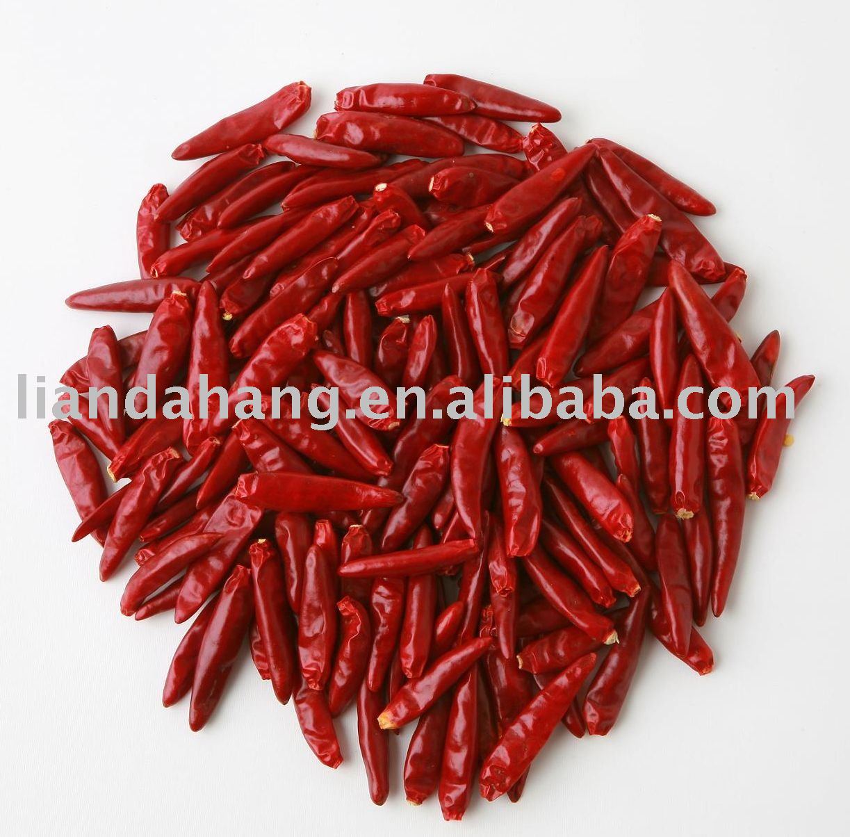 chili japones, japones chilli