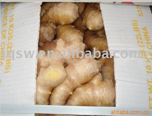 ginger fresh (250g,2010new crops,)