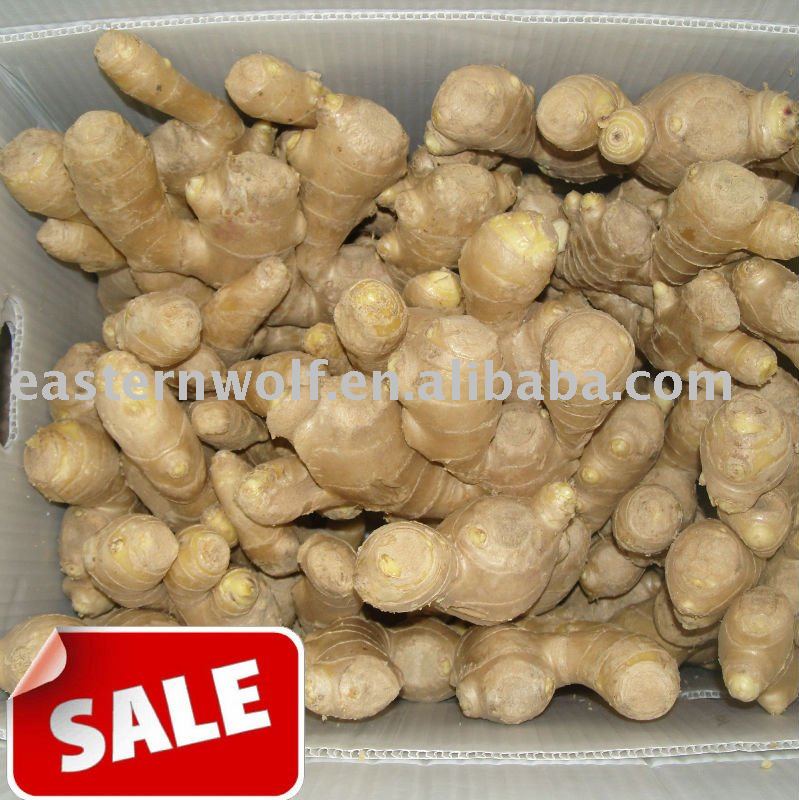 China Fresh Yellow Ginger in Carton Package, MOQ:1*40 FCL