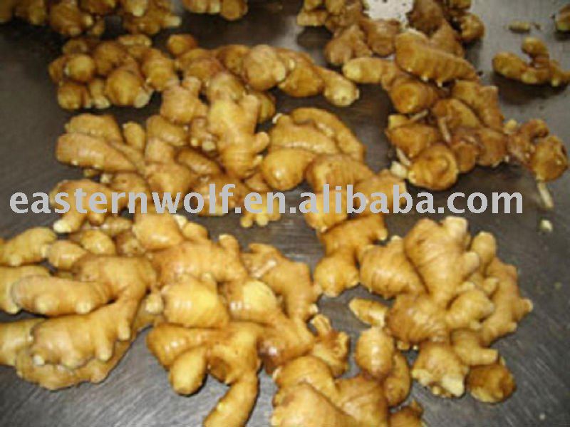 Fresh Yellow Ginger in Carton Package, MOQ:1*40 FCL