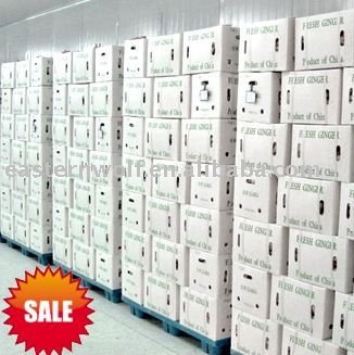 High Quality Fresh Yellow Ginger in Plastic Box Package, MOQ:1*40 FCL
