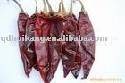 American red chilli
