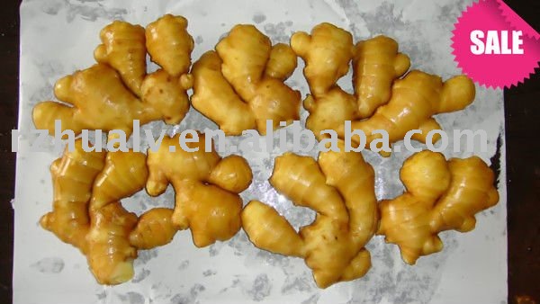 Ginger /Shandong Ginger Root