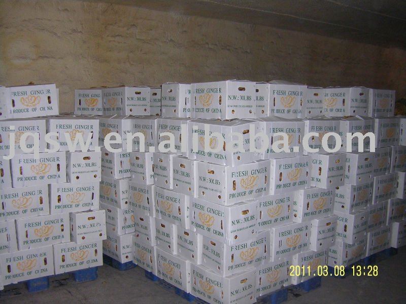 china  ginger ( 250g ,fresh  ginger )