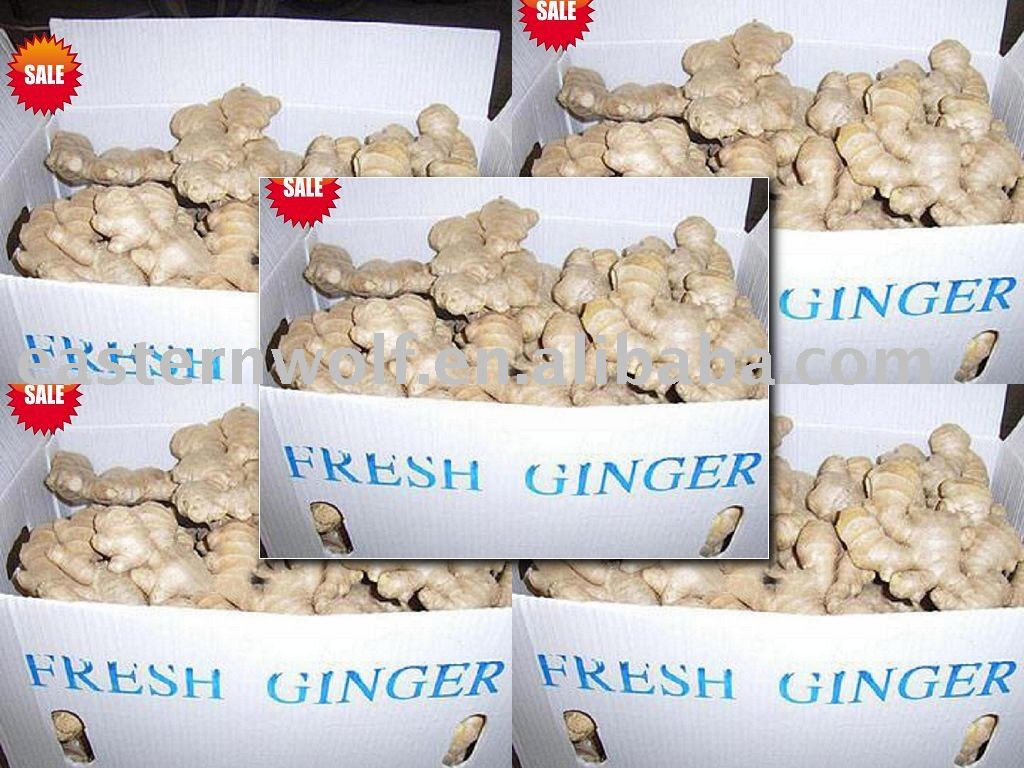 Fresh Chinese Ginger in Plastic Box Package