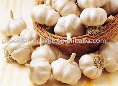 2011 Fresh Normal Garlic 5.0cm,5.5cm,6.0cm in 10KG Mesh Bags