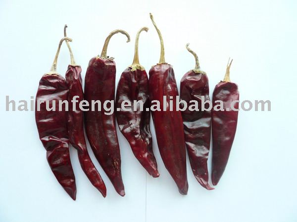 dry  chilli  ( JINTA )