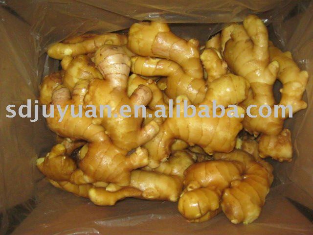 Fresh ginger of high quality