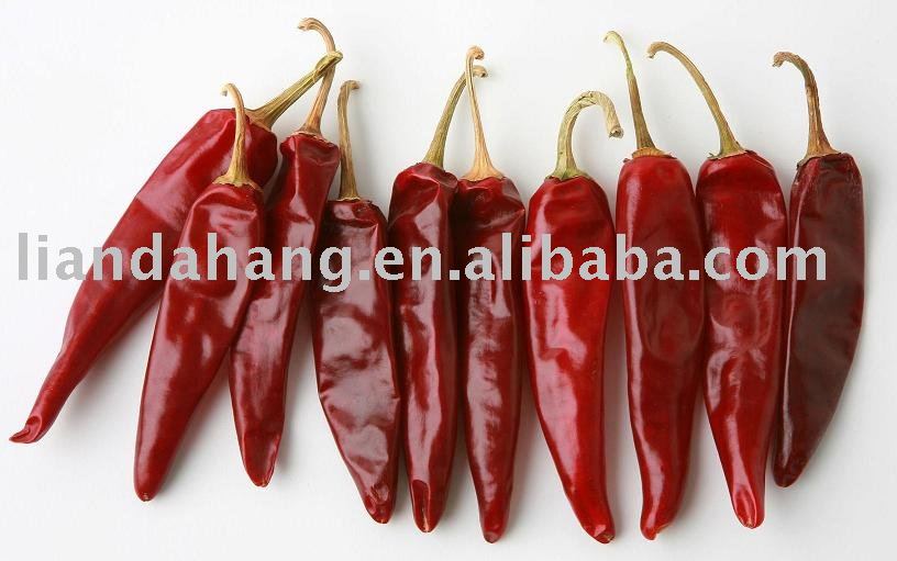 dried Jinta Chilli