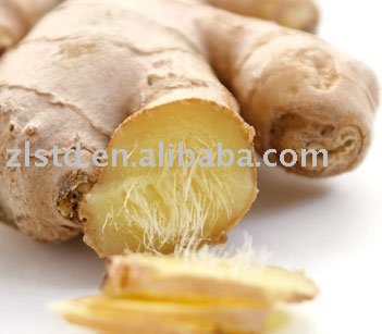 Dry Ginger Root