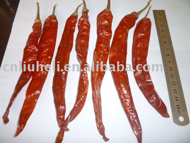 dry red chili   red pepper
