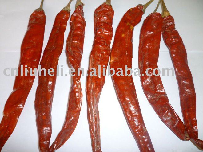 dried whole  red  hot chilli    red   pepper 