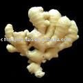 MOQ:24MT Fresh Yellow Ginger