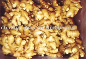 Perfect Ginger with Best Price